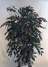 Artificial Silk Smilax Tree on Natural Wood Toronto